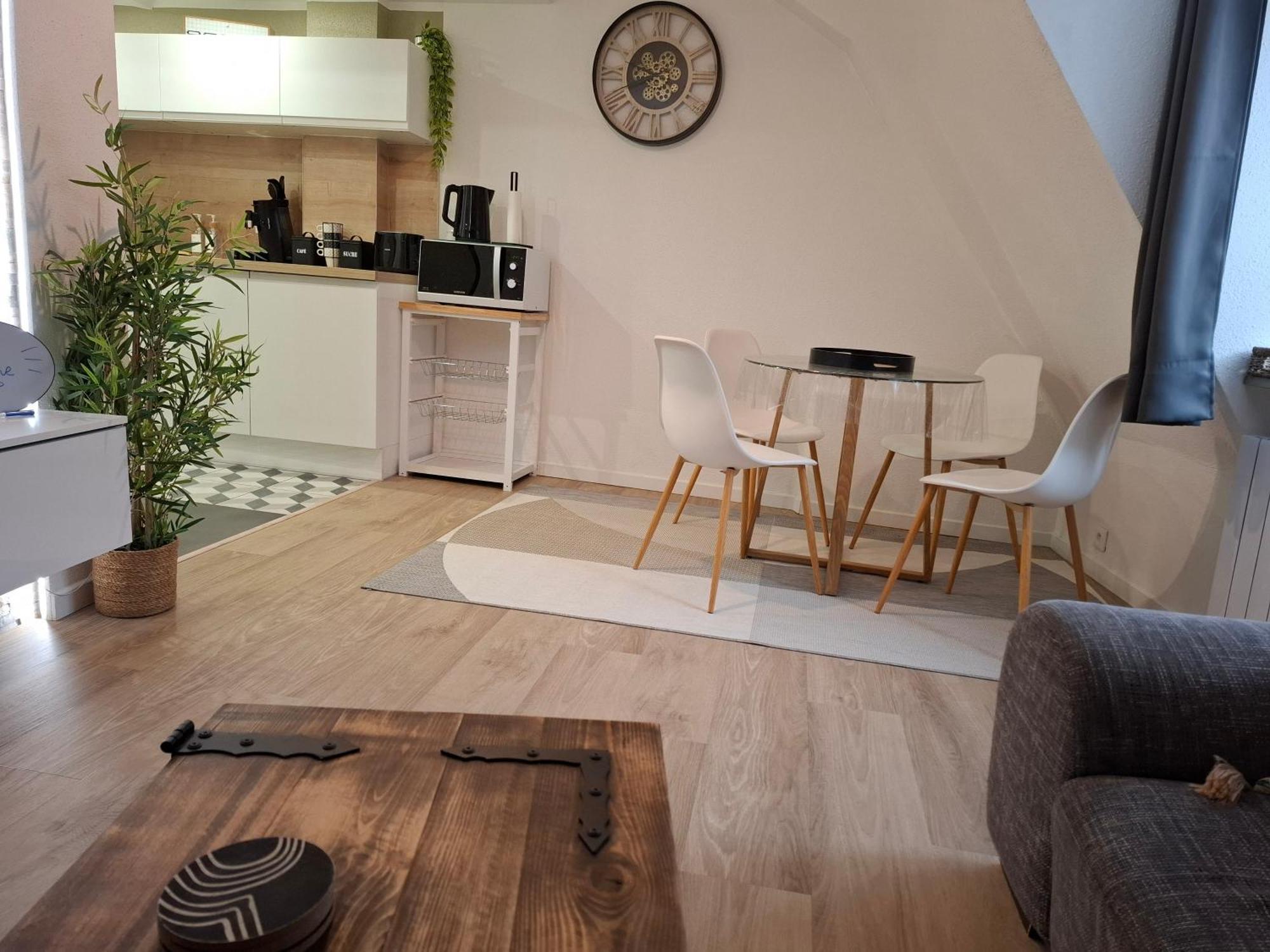 Bel Appartement, Sélestat Buitenkant foto