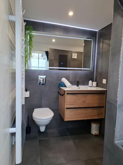 Bel Appartement, Sélestat Buitenkant foto